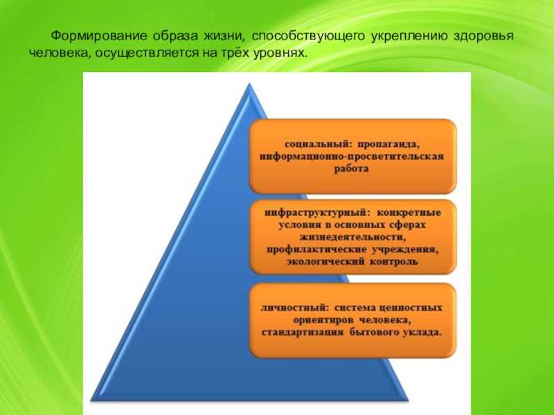 Обучение в гимназиях как основа развития аналитических навыков